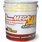 IDROPITTURA ANTIMUFFA MEGASAN  4LT V