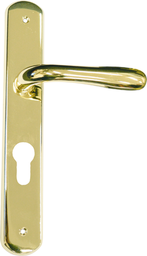 MANIGLIA C/PLACCA FORO YALE OLV AMALFI