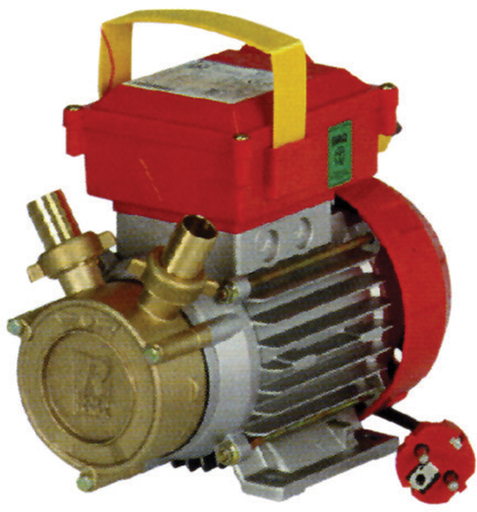 ELETTROPOMPA TRAVASO ROVER 20MM 0,5HP AUTOADESCANTE